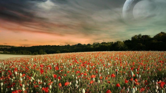 时隔4年，无畏契约（Valorant）又如何评价？